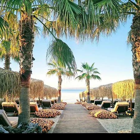 By The Sea * 페프코초리